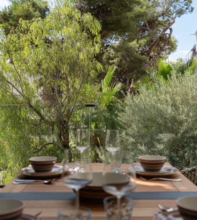 Talamanca 14-10-25-20.jpg